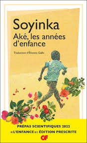 soyinka aké les années d'enfance