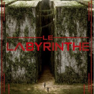 Le labyrinthe- James Dashner-Tome 01