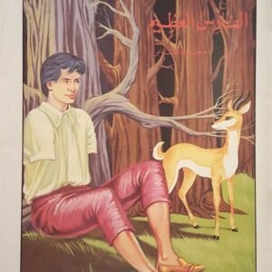 الفارس العظيم- مجدي صابر-مكتبة الطفل العربي