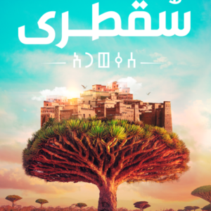 سقطرى-حنان لاشين